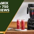 Vitamix pro 750 reviews
