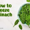 how to freeze Spinach