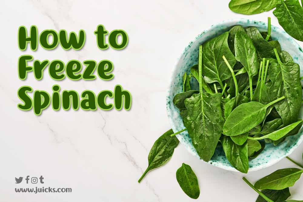 how to freeze Spinach