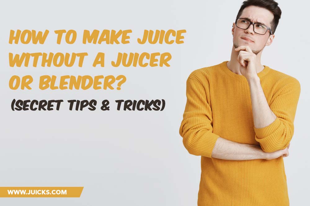 how to make a juicer without a juicer
