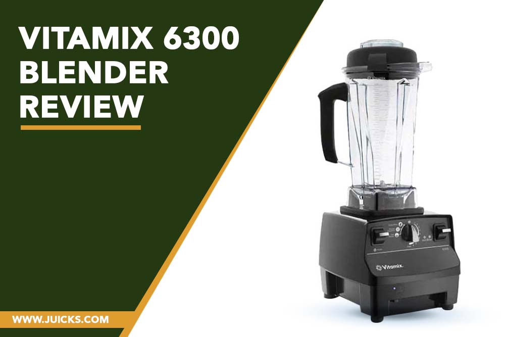 Vitamix 6300 blender review