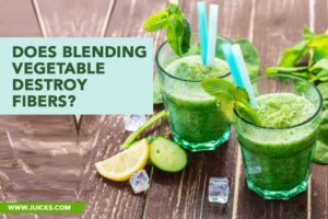 Does blending vegetable destroy fibers